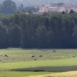 Le bois de Ballens au pied du Jura fait l'objet d'une occupation par le mouvement "Grondements des terres (photo d'illustration). KEYSTONE/GAETAN BALLY